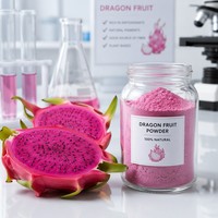 Natuurlijk Drakenvruchtenpoeder FVP-33 Rood Pitaya Poeder Halal Gecertificeerd Supplement 100% Wateroplosbaar Plastic Verpakking