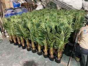 Casa interna ornamentale piccolo grande grande finto in vaso di maestosità artificiale maestà Areca piante di palma per la vendita - Product Image 6