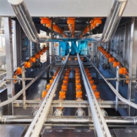Automatische omzetkrattenwas- en desinfectiemachine, commerciële krattenwasser voor slachthuizen en groenteverwerkingsbedrijven