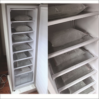 Réfrigérateur-congélateur solaire DC de haute qualité pour la maison, réfrigérateur-congélateur solaire à porte unique avec congélateur supérieur pour usage domestique