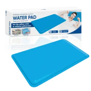 summer refrigerating water injection pain relieve ice cool pillow