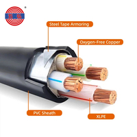 Cable de Alimentación Subterráneo para Construcción Industrial, Estándar IEC N2XRY N2X2Y STA, Blindado, 0.6/1kV 6/10kV, 3 Núcleos, Cobre, XLPE, PVC