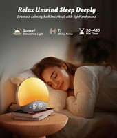 Réveil Ecozy avec Sons Apaisants et Lumières Nocturnes – 26 Sons Relaxants, 17 Lumières de Nuit, Réveil par Lumière du Soleil et Haut-parleur