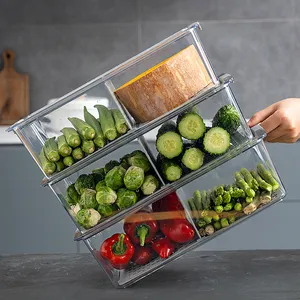 Wadah kotak penyimpan makanan plastik akrilik freezer dapur