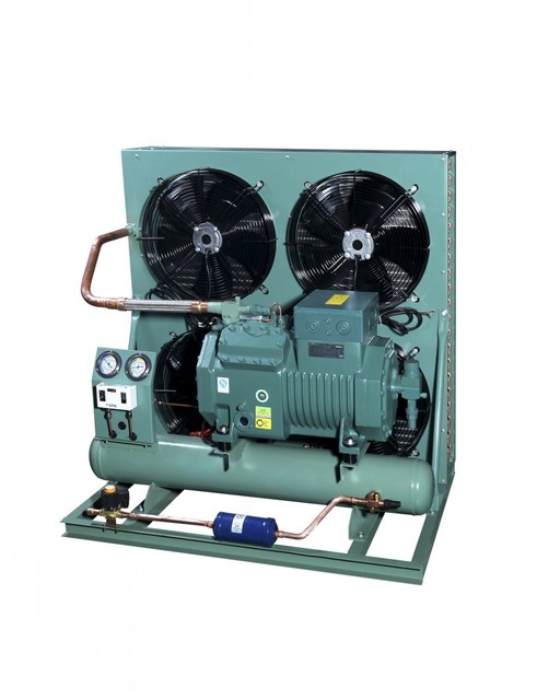 R449 Refrigeration Condensing Unit for Cold Room Use