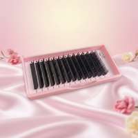 Extensions de cils individuels en cheveux synthétiques coréens PBT CC, volume complet, plateaux personnalisés noir mat 4-25mm
