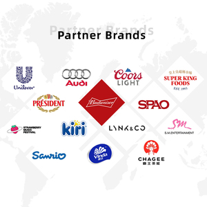 Tùy Chỉnh Lông Cừu Chăn Với Logo In Ấn Siêu Mềm Ấm Mùa Đông Ném Chăn Trọng Lượng Nhẹ Xù Xù Điều Hòa Không Khí <span class=keywords><strong>Flannel</strong></span> Chăn - Product Image 6