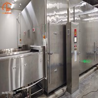 Grand congélateur tunnel automatique industriel en acier inoxydable avec moteur pour légumes, viandes et fruits de mer surgelés, haute productivité