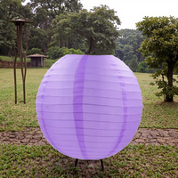 SprintDream Modische 12 Zoll (30 cm) bunte chinesische Papierlaterne zum Aufhängen mit 24 Farben für Geburtstagsfeier-Dekorationen