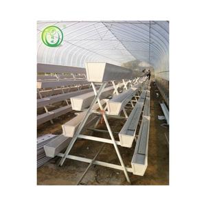 Système de culture hydroponique de type A, canal vertical de culture hydroponique, gully de culture hydroponique en PVC, système hydroponique vertical, canal vertical - Product Image 6