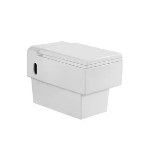 욕실 소프트 커버 시트 OEM 변기 siphonic 최고의 저렴한 화장실 세라믹 변기