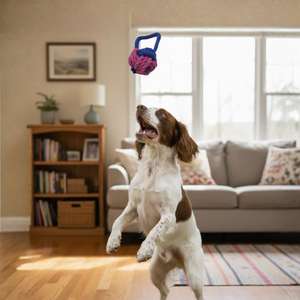 Giocattolo per Animali Domestici Yommy in Corda Intrecciata, Multicolore, Cotone, 23 Cm, Gioco Interattivo per Cani - Product Image 6