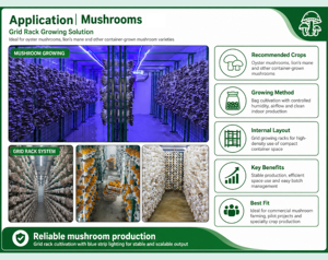 Système hydroponique de culture de champignons en conteneur avec structure en acier, faible coût, stable, pour la <span class=keywords><strong>production</strong></span> alimentaire agricole - Product Image 5