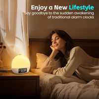Réveil lumineux personnalisé IBN avec service de réveil au lever du soleil, machine à bruit blanc multifonctionnelle, compagnon de sommeil et musique apaisante