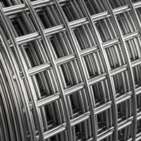 Rouleau de treillis soudé en acier inoxydable SS304 de qualité supérieure, 1/2 pouce, calibre 19, antirouille, pour clôtures de jardin, cages à animaux, projets de bricolage à domicile