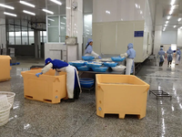 Boîte de transport pour poissons, bac de transport pour fruits de mer, bac à poissons