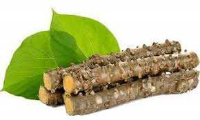 Meilleur extrait de racine organique de Tinospora Cordifolia, poudre de solvant de qualité alimentaire, supplément halal certifié dans un emballage en fût - Product Image 3