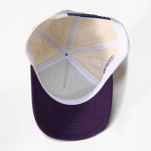Casquette de baseball personnalisée en broderie 3D Lanhai, casquette de sport d'extérieur, vente chaude, casquette de baseball en coton brodée pour hommes - Product Image 5