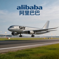 Alibaba, transitaire international de premier plan pour les services maritimes et la logistique, de la Chine aux États-Unis