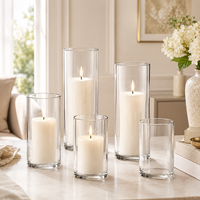 Bouteille en verre épaissi, support de bougie créatif, bouteille vide, grand vase, pot transparent, bouteille pour plantes, poissons et paysages d'intérieur