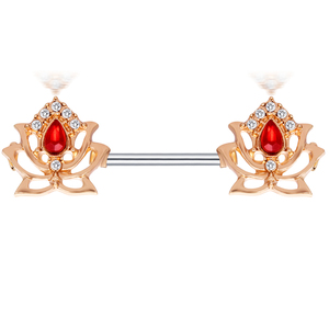Anneaux <span class=keywords><strong>de</strong></span> tétons <span class=keywords><strong>de</strong></span> styles variés en acier inoxydable, bijoux <span class=keywords><strong>de</strong></span> corps tendance, barres d'oreille sexy, piercings, boucles d'oreilles, bouclier <span class=keywords><strong>de</strong></span> téton, barre <span class=keywords><strong>de</strong></span> <span class=keywords><strong>piercing</strong></span> - Product Image 3