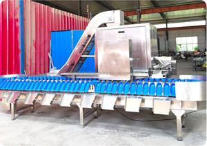 304 Stainless Steel Vegetable and Fruit Sorting Machinery PLC Controlled Abalone Weight Grading <b>Machine</b> Sea Oysters Grader - Product Image 6