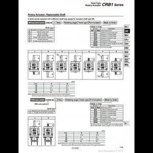 Équipement électrique d'actionneur rotatif CRB1BS100-180S pneumatique SMC - Product Image 1