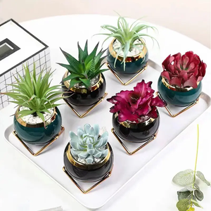 Macetas de plantas suculentas creativas, Mini crack de hielo, maceta de cerámica esmaltada, jardín, hogar, decoración <span class=keywords><strong>Zakka</strong></span>, maceta artesanal - Product Image 2