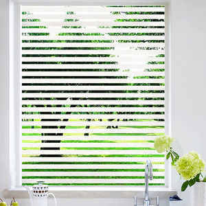 <span class=keywords><strong>Bande</strong></span> de film de fenêtre en PVC auto-adhésive <span class=keywords><strong>opaque</strong></span> Films décoratifs antidéflagrants de conception moderne <span class=keywords><strong>pour</strong></span> un usage domestique Échantillon gratuit - Product Image 2