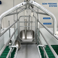 Cage de maternité pour porcs BCPC-FC galvanisée à chaud, personnalisable, avec options de taille pour la gestation des truies