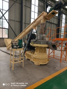 Máquina profesional para hacer pellets de biomasa, máquina de pellets de madera con troquel de anillo, molino de pellets de madera - Product Image 6