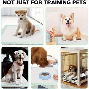 Nouveaux tapis d'entraînement pour chiots et chiens, imperméables, jetables, en fibres, de différentes tailles, très demandés - Product Image 6
