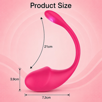 TMM - App - Télécommande sans fil - Boule d'exercice Kegel - Vibrateur en silicone - 10 modes - Masseur du point G et du clitoris - Jouet sexuel pour adultes - Femmes