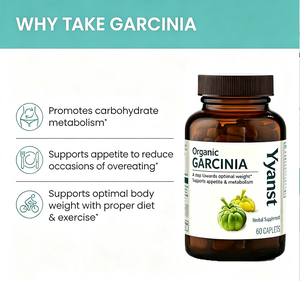 Capsules de Garcinia Cambogia de haute qualité, marque privée, contrôle de l'appétit, gestion du poids, perte de poids à base de plantes, amincissement, détoxification des graisses - Product Image 2