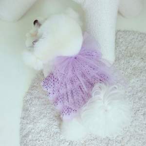 Vestido para Perro, Ropa de Fiesta para Mascotas, Diseño Personalizado, Vestido de Tul de Algodón, Lazo de Encaje Desmontable, Ropa Cómoda y Transpirable - Product Image 5