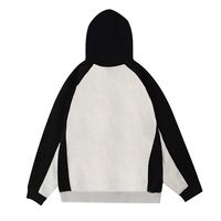 Haute qualité 100% coton 420 grammes unisexe sweat à capuche surdimensionné français éponge sweat imprimé réfléchissant Streetwear français hiver