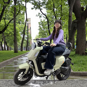 Motocicleta Eléctrica de Dos Plazas con Velocidad Máxima de 60V, Bicicleta Eléctrica con Pedal - Product Image 5