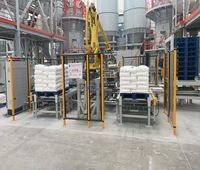 Machine multifonctionnelle de palettisation de sacs à granulés de 15kg, 25kg, 30kg, robot à intelligence artificielle