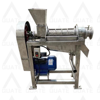 Machine à jus de fruits / Extracteur de jus de fruits pour gingembre et fraises / myrtilles
