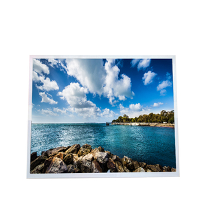 G170ETN02.0 Panel LCD Popular de 17.0 Pulgadas, Pantalla LCD TFT de 1280*1024 para Uso Industrial - Product Image 1