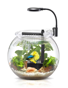 Spot Wholesale Desktop USB 4L 12L Transparent Clear Round Small Cheap Plastic <strong>Fish</strong> Tank With <strong>Filter</strong> With Quality Wholesale - Product Image 1