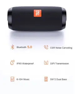 Fabrik benutzer definierte billige China Fabrik Preis Karaoke mit Mikrofon tragbare Bluetooth-Lautsprecher