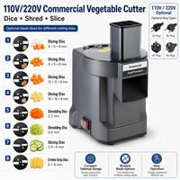 10V/220V Kleine Commerciële Gemotoriseerde Elektrische Multifunctionele Groente Snijder/Hakker/Snijmachine/Aardappel Snijmachine