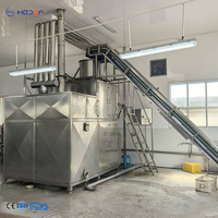 Industriële stoomschilmachine 3000-18000kg/uur CE ISO9001 304 roestvrij staal tomatenschiller