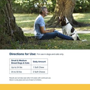 Vitamines pour chiens ODM/OEM - Vitamines et minéraux quotidiens sous forme de friandises molles pour soutenir l'énergie et la santé du corps - Product Image 2