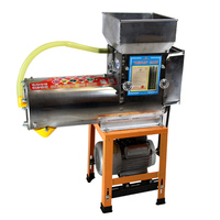 Machine à râper le manioc en acier inoxydable pour la production de Gari/Attieke + Moteur électrique, essence ou diesel