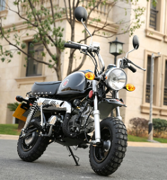 Mini moto rétro Monkey 110CC
