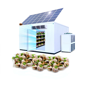 Réfrigérateur solaire à émissions zéro <span class=keywords><strong>de</strong></span> <span class=keywords><strong>la</strong></span> même qualité que les grandes marques pour le traitement durable des plantations <span class=keywords><strong>de</strong></span> café en pente - Product Image 3