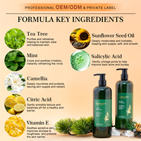 Gel de Ducha y Champú Blanqueador de Marca Privada OEM, Set para el Cuidado del Cabello para Mujeres, con Árbol de Té Orgánico, Anti-Picazón, para Piel Normal, 500 ml