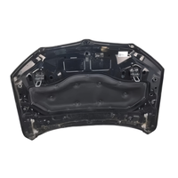 Couvercle de moteur et kit carrosserie d'occasion pour BMW X1 F48. Numéro de pièce d'origine OE : 41007463801